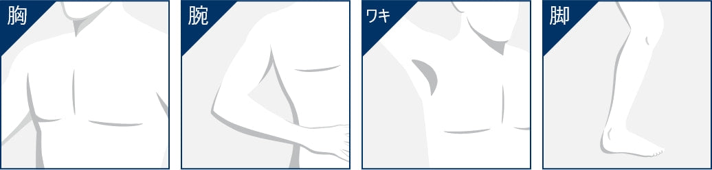 胸 腕 ワキ 脚
